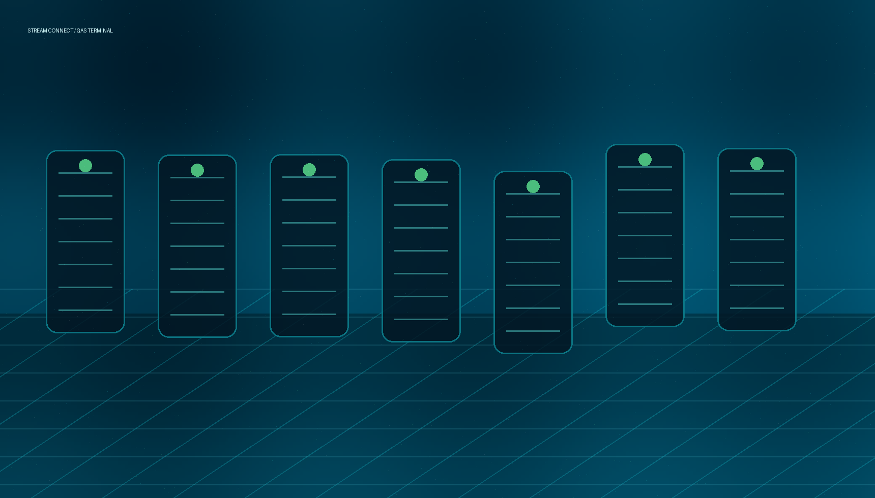IT / Telecom Capability